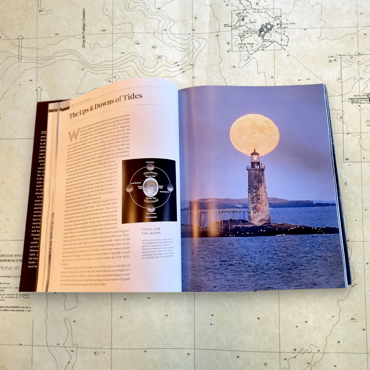 Ocean: A Global Odyssey - Image 3