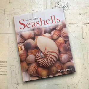 The World of Seashells