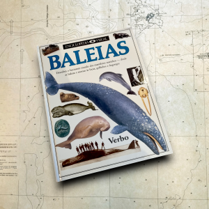 Baleias