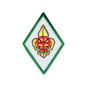 Distintivo Membro Mesa Conselho Nacional
