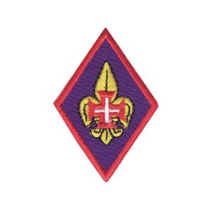 Distintivo Presidente Conselho Fiscal e Jurisdicional Regional