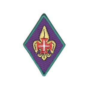 Distintivo Presidente Mesa Conselho Regional