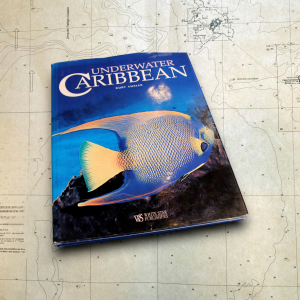 Underwater Caribbean