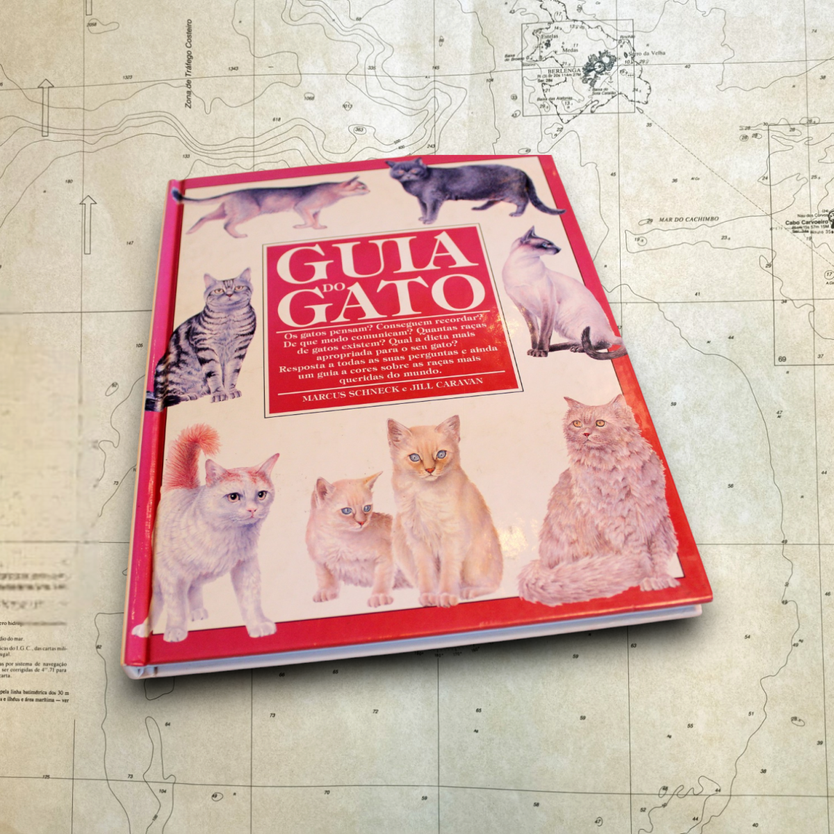 Guia do Gato