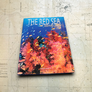 The Red Sea – Underwater paradise