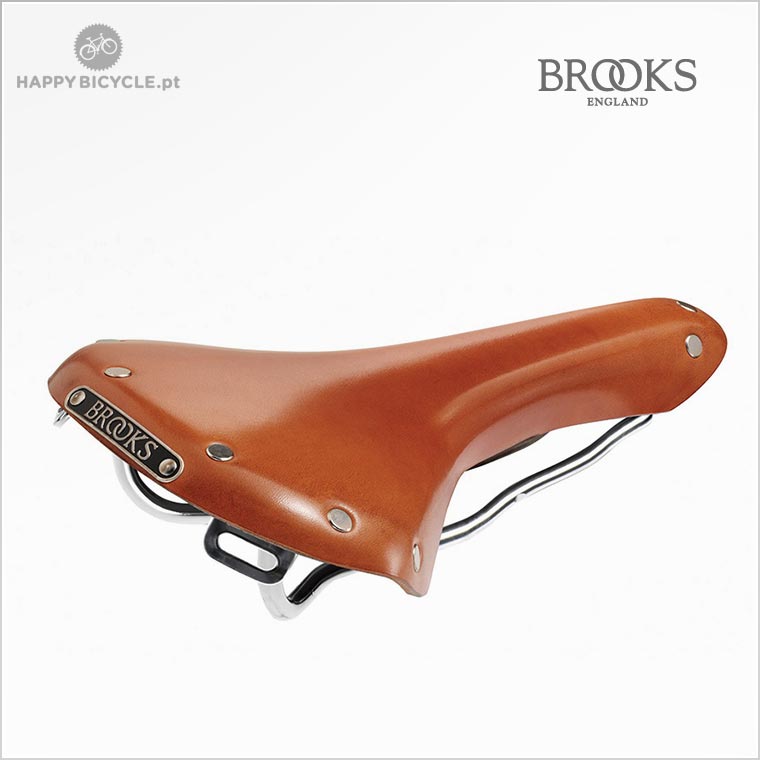 Selim Brooks B15 Swallow Chrome