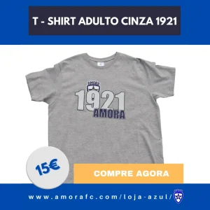T-Shirt Adulto Cinza 1921